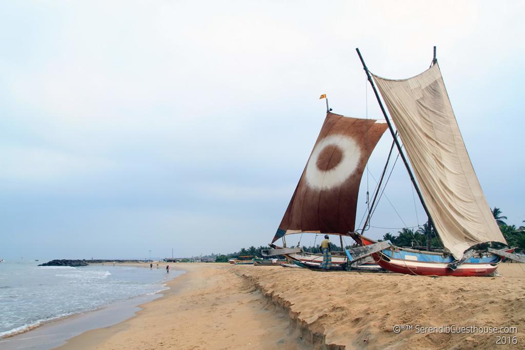 Serendib Guest House Negombo Dış mekan fotoğraf