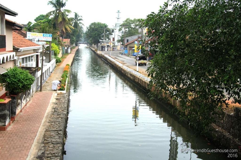 Serendib Guest House Negombo Dış mekan fotoğraf