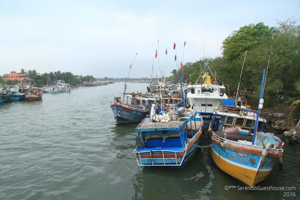Serendib Guest House Negombo Dış mekan fotoğraf