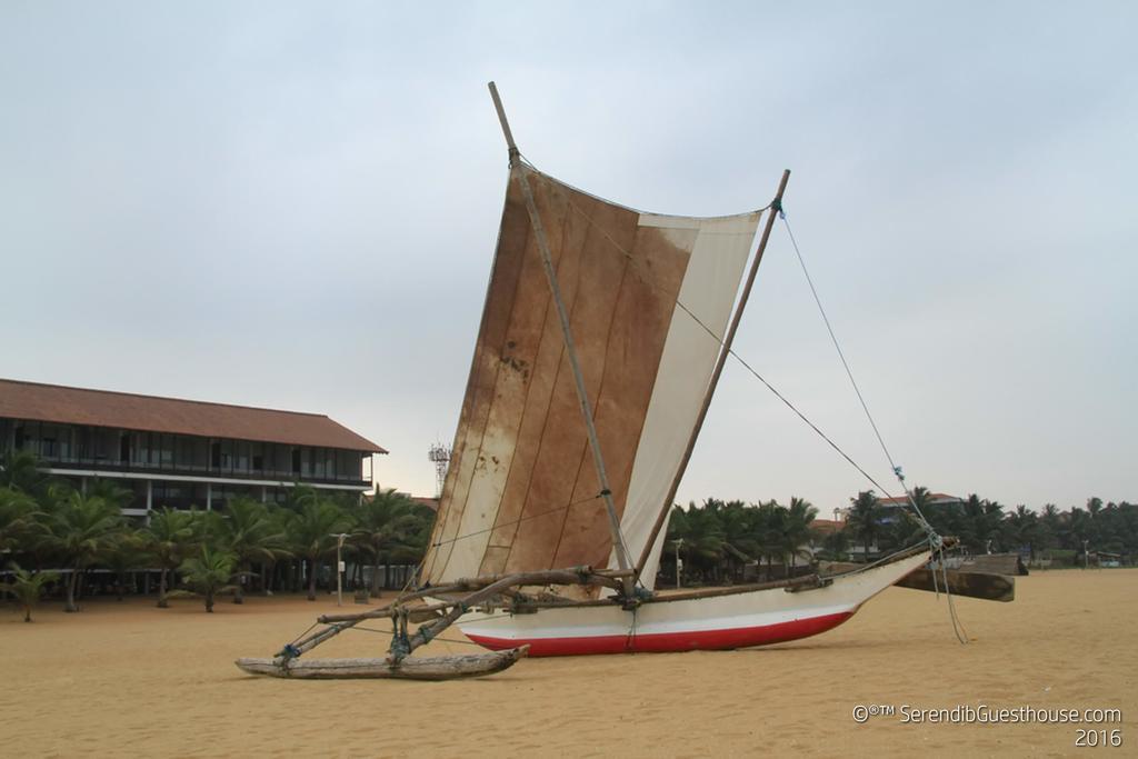 Serendib Guest House Negombo Dış mekan fotoğraf