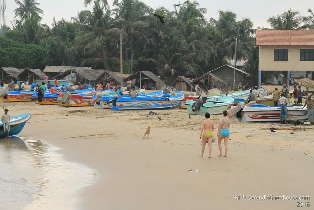 Serendib Guest House Negombo Dış mekan fotoğraf