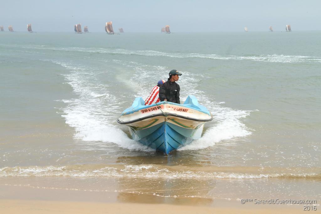 Serendib Guest House Negombo Dış mekan fotoğraf