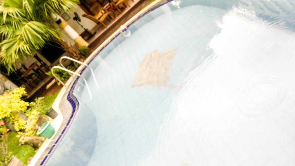 Serendib Guest House Negombo Dış mekan fotoğraf