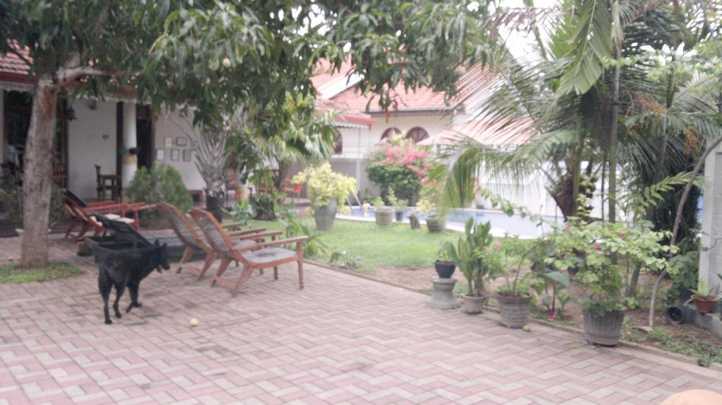 Serendib Guest House Negombo Dış mekan fotoğraf