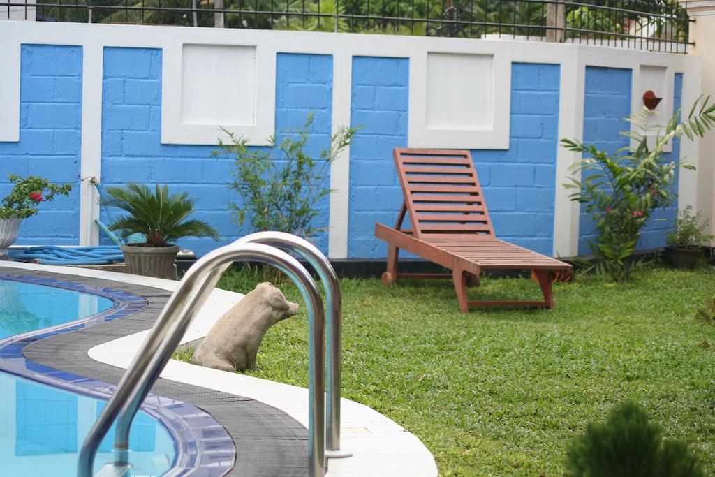 Serendib Guest House Negombo Dış mekan fotoğraf